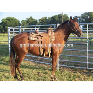 Galvanizado o revestido de PVC valla de caballo / cercado de tubo para caballos / cerca de paddock de caballo